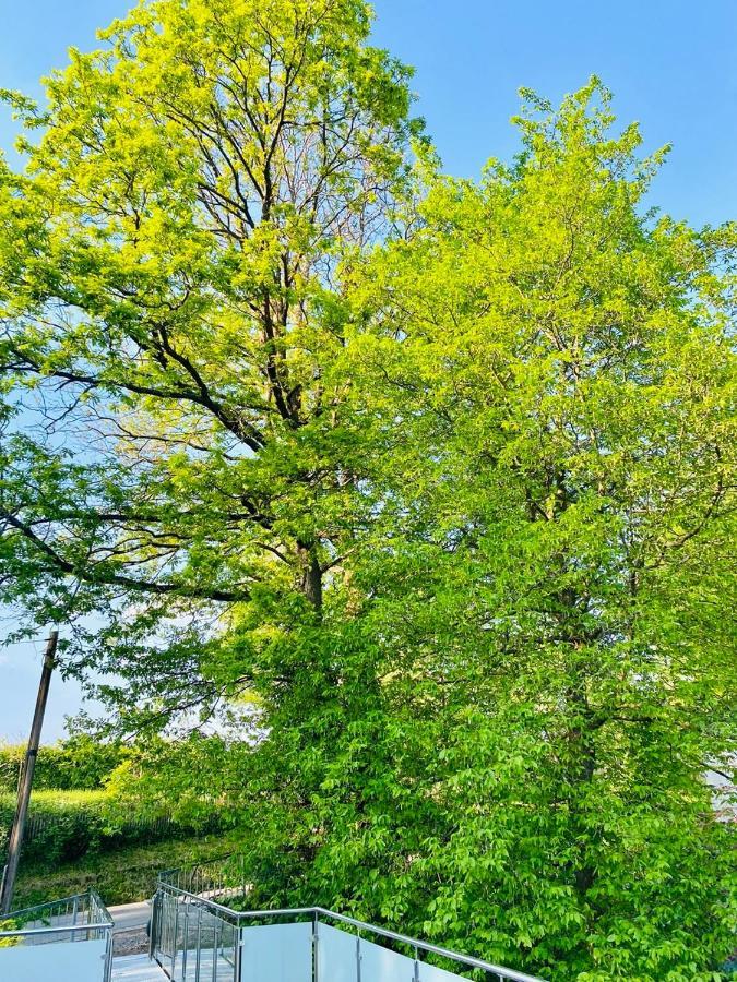 Ferienwohnung Waldblick Kaufungen Kültér fotó